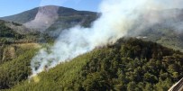 ORMAN İŞÇİSİ - Alanya'da Orman Yangını