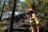 ORMAN İŞÇİSİ - Alanya'daki Orman Yangını Kontrol Altına Alındı
