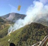 Antalya'da Orman Yangını