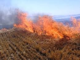 Çiftçilere  Anız Yangını Uyarısı