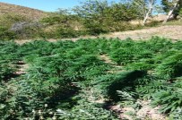 Malatya'da Jandarma Zehir Tacirlerine Ve Dolandırıcılara Geçit Vermiyor