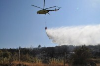 Muğla'da Orman Yangını
