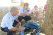 MAHMUT KUŞ - Zabıta Memurları Yeni Doğmuş Yavru Köpekleri Elleriyle Besledi