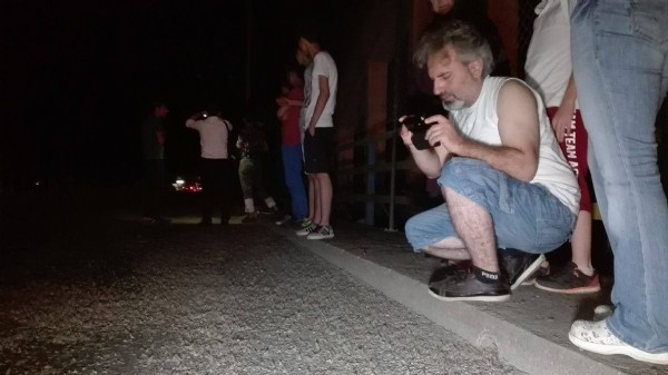 Birgün sineklerinin 'Ölüm Dansı' başladı