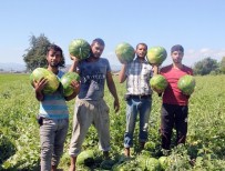 AHMET DURSUN - Bafra Karpuzu Yok Satıyor