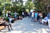 MELİH GÖKÇEK - Başkent'te Pokemon çılgınlığı