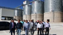 KAYSERİ ŞEKER FABRİKASI - Kayseri Şeker Türkiye'de İlk Betonik Silo Yaparak Çiftçilerin Hizmetine Sundu