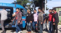 Kırklareli'nde Göçmen Kaçakçılığı Operasyonu Haberi