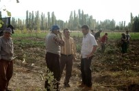 AKÇALAR - Seydişehirli Çiftçilere Eğitim Programı