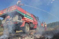 Tavşanlı'da Anız Yangını