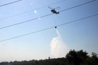 Yalova'da Orman Yangını