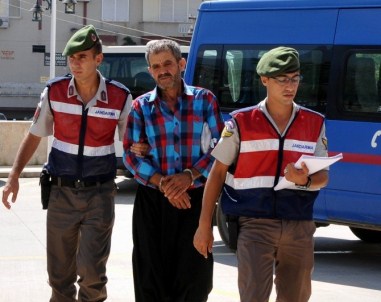 Alanya'da 150 Kök Hint Keneviri Ele Geçirildi