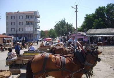 At Arabası Ve Bisiklete Yasak