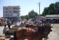 FAYTON - At Arabası Ve Bisiklete Yasak