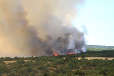 Eskişehir'deki Orman Yangını Kontrol Altına Alındı