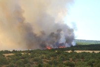 Eskişehir'deki Orman Yangını Kontrol Altına Alındı