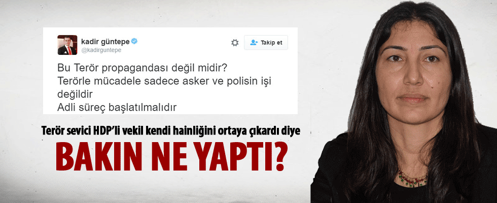 HDP'li vekilden skandal soru önergesi!..