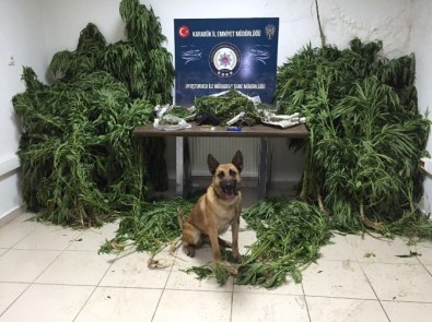Karabük'te Uyuşturucu Operasyonu