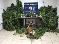 Karabük'te Uyuşturucu Operasyonu