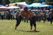 Pelitözü Kızılot Yayla Şenlikleri'nde Başpehlivan Recep Kara Oldu