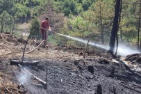 TUNÇBILEK - Tavşanlı'da 3 Dekar Ormanlık Alan Yandı
