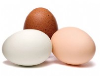 Tavuk yumurtası üretimi Mayıs ayında azaldı