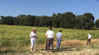 Keşan'da Keşif Ve Bilirkişi İncelemesi