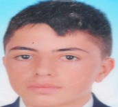 Ölümünün Altından Vahşet Çıktı