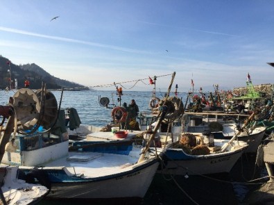 Su Ürünleri Avcılığı Coştu