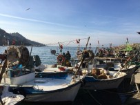 Su Ürünleri Avcılığı Coştu