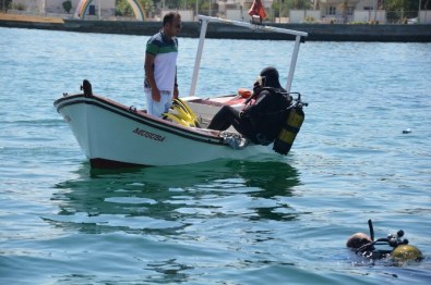 Aliağa'da Festival Gibi Deniz Şenliği