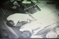 KAMERA SİSTEMİ - Van'da Hırsızlık