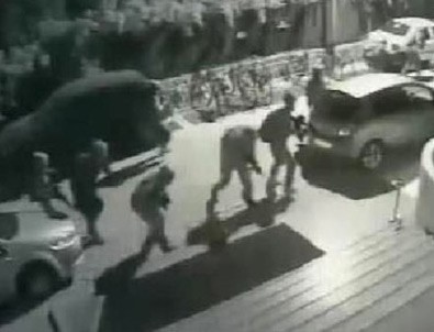 FETÖ darbe girişiminin acı tablosu: 240 Şehit