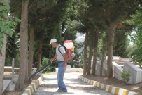 KABRISTAN - Kocaeli Kabristanlarında Bayram Temizliği