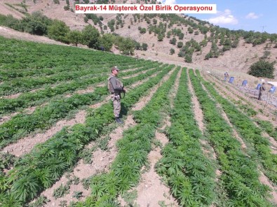 Lice'de Operasyon Sürüyor