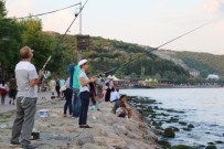 OSMAN GAZİ KÖPRÜSÜ - Osmangazi Köprüsü Manzarasında Balık Tutma Keyfi