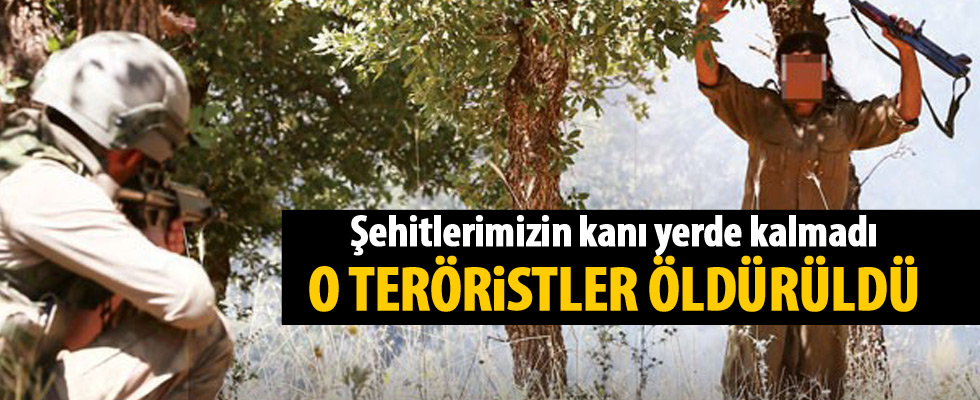 Terör örgütüne Lice balyozu