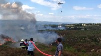 MANGAL ATEŞİ - Çanakkale'de Büyük Orman Yangını
