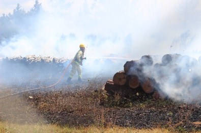 Çanakkale'deki Orman Yangını