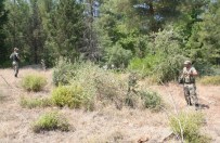 KOMANDO BİRLİĞİ - Marmaris'te 300 komando darbeci askerleri arıyor