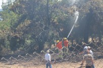 HAMZA ERKAL - Orman Yangını Söndürüldü