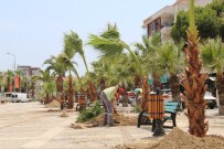 PALMİYE AĞACI - Daha Yeşil Bir Turgutlu İçin Palmiyeler Dikiliyor