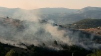 Havran'da Orman Yangını