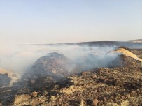 Anız Yangını, Hayvan Çiftliğini Küle Çevirdi