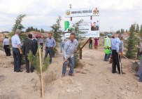 ÇUKURKUYU - Niğde'de Şehit Astsubay Ömer Halisdemir Adına Hatıra Ormanı Oluşturuldu