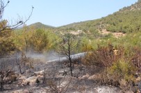 ORMAN İŞÇİSİ - Bodrum'da 5 Hektar Ormanlık Alan Küle Döndü