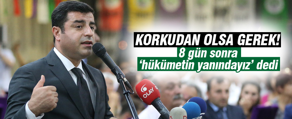 Selahattin Demirtaş: Hükümetin yanındayız