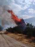 Kastamonu'da 4 Samanlık Ve 50 Dönümlük Ekili Tarım Arazisi Yandı