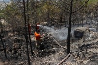 Mersin'de Orman Yangını