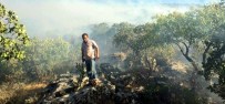 YARDIM TALEBİ - Fıstık Bahçelerinde Çıkan Yangın Milletvekilinin Girişimi İle Büyümeden Söndürüldü